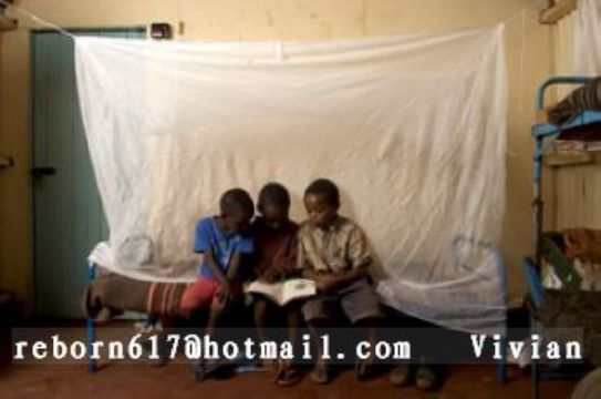 Insecticide Treated Mosquito  Net